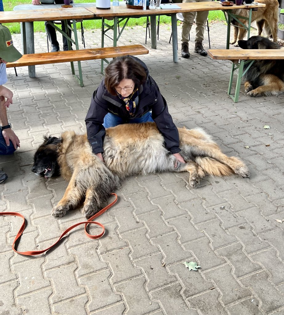 Fixieren in der Seitenlage