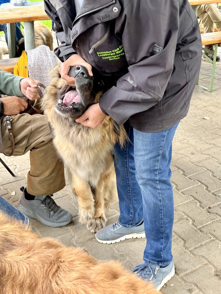 Fang öffnen (beherzter Griff)